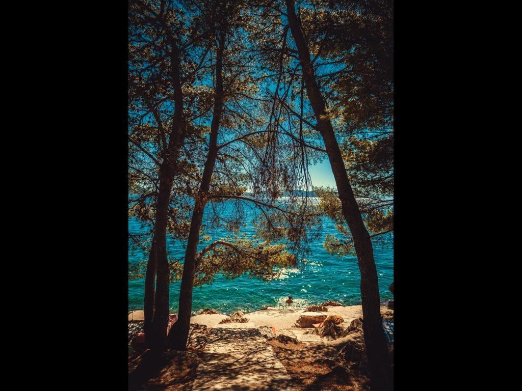 La Mer Drage Extérieur photo